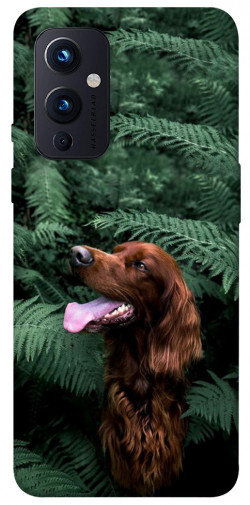Чехол itsPrint Собака в зелени для OnePlus 9