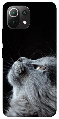 Чохол itsPrint Cute cat для Xiaomi Mi 11 Lite