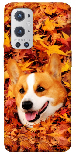 Чехол itsPrint Корги в листьях для OnePlus 9 Pro
