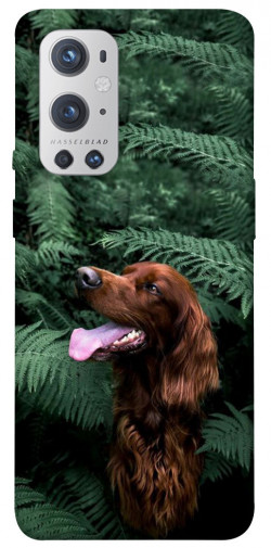 Чехол itsPrint Собака в зелени для OnePlus 9 Pro