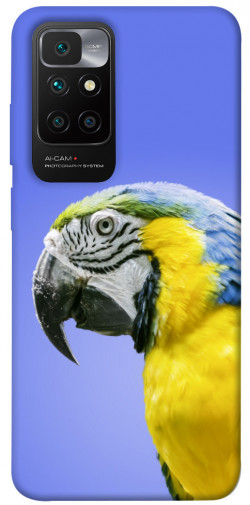Чехол itsPrint Попугай ара для Xiaomi Redmi 10