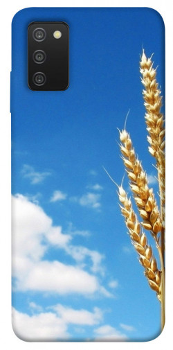 Чехол itsPrint Пшеница для Samsung Galaxy A03s