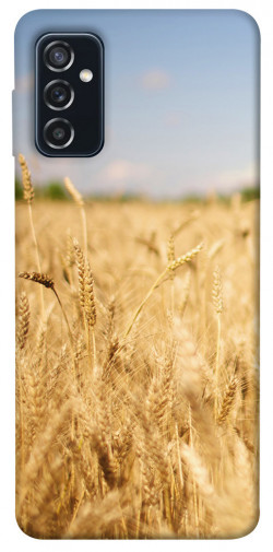 Чохол itsPrint Поле пшениці для Samsung Galaxy M52