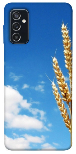 Чохол itsPrint Пшениця для Samsung Galaxy M52
