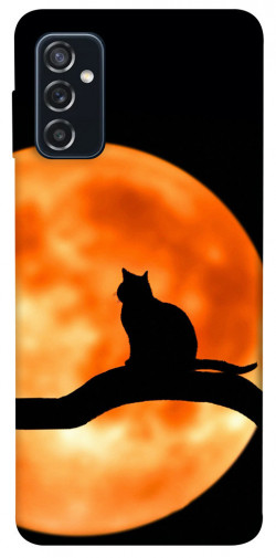 Чохол itsPrint Кіт на тлі місяця для Samsung Galaxy M52