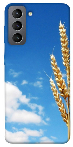 Чехол itsPrint Пшеница для Samsung Galaxy S21 FE