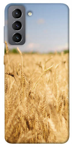 Чехол itsPrint Поле пшеницы для Samsung Galaxy S21 FE