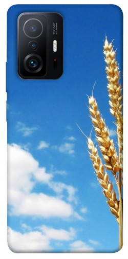 Чехол itsPrint Пшеница для Xiaomi 11T / 11T Pro