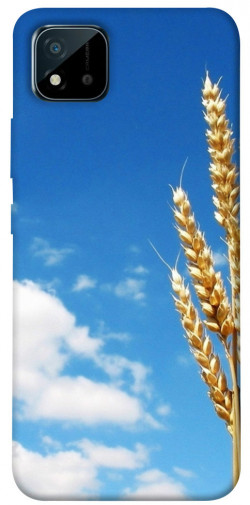 Чохол itsPrint Пшениця для Realme C11 (2021)
