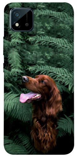 Чехол itsPrint Собака в зелени для Realme C11 (2021)