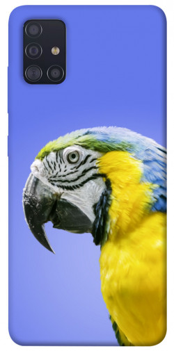 Чехол itsPrint Попугай ара для Samsung Galaxy A51