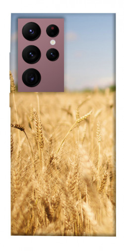 Чехол itsPrint Поле пшеницы для Samsung Galaxy S22 Ultra