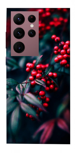 Чехол itsPrint Red berry для Samsung Galaxy S22 Ultra