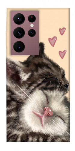 Чохол itsPrint Cats love для Samsung Galaxy S22 Ultra