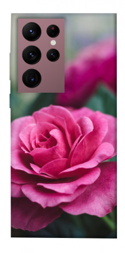 Чехол itsPrint Роза в саду для Samsung Galaxy S22 Ultra