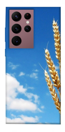 Чохол itsPrint Пшениця для Samsung Galaxy S22 Ultra