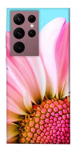 Чехол itsPrint Цветочные лепестки для Samsung Galaxy S22 Ultra