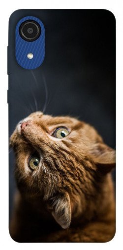 Чехол itsPrint Рыжий кот для Samsung Galaxy A03 Core