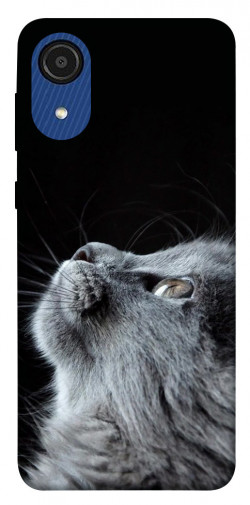 Чохол itsPrint Cute cat для Samsung Galaxy A03 Core