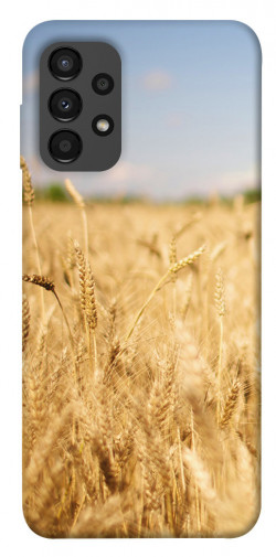 Чохол itsPrint Поле пшениці для Samsung Galaxy A13 4G