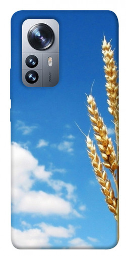 Чехол itsPrint Пшеница для Xiaomi 12 / 12X