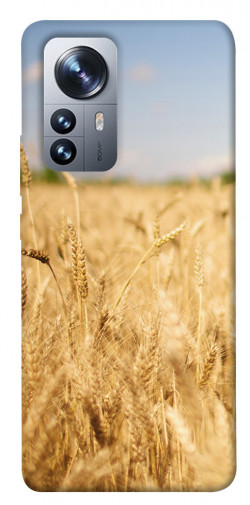 Чехол itsPrint Поле пшеницы для Xiaomi 12 / 12X