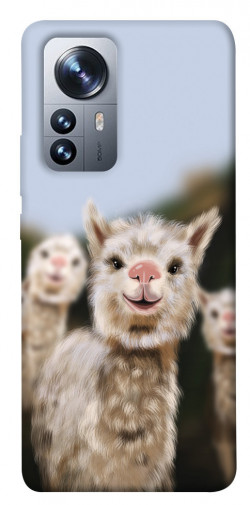 Чехол itsPrint Funny llamas для Xiaomi 12 / 12X