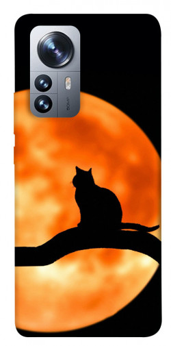 Чохол itsPrint Кіт на тлі місяця для Xiaomi 12 / 12X