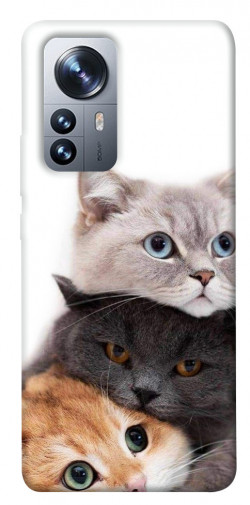 Чохол itsPrint Три коти для Xiaomi 12 / 12X