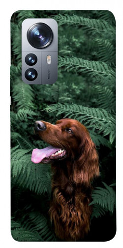 Чохол itsPrint Собака у зелені для Xiaomi 12 / 12X
