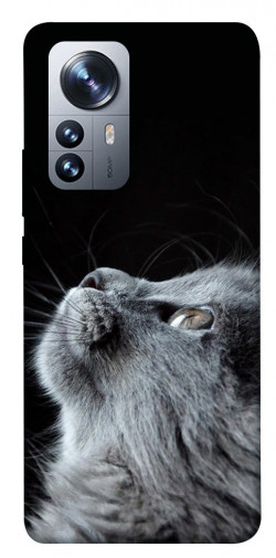 Чохол itsPrint Cute cat для Xiaomi 12 / 12X