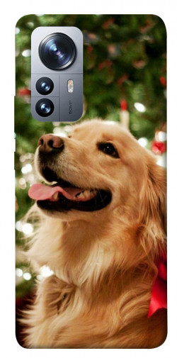 Чехол itsPrint New year dog для Xiaomi 12 / 12X