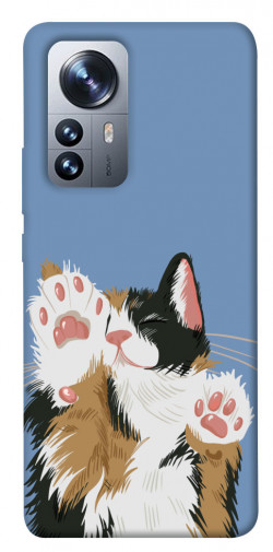Чохол itsPrint Funny cat для Xiaomi 12 / 12X