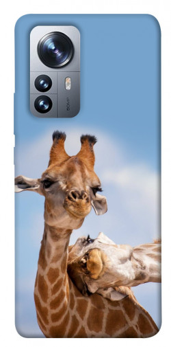 Чехол itsPrint Милые жирафы для Xiaomi 12 / 12X