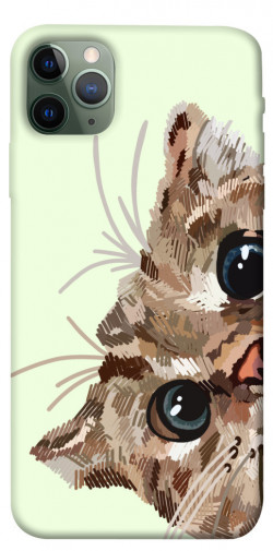 Чохол itsPrint Cat muzzle для Apple iPhone 11 Pro Max (6.5")