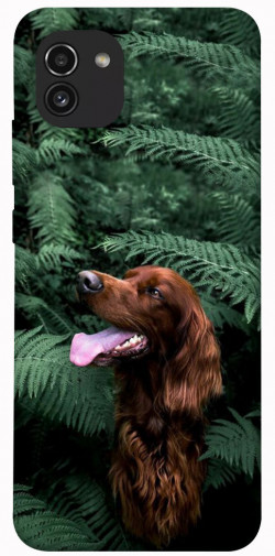 Чехол itsPrint Собака в зелени для Samsung Galaxy A03