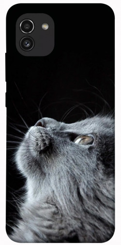 Чохол itsPrint Cute cat для Samsung Galaxy A03