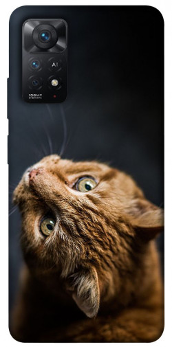 Чехол itsPrint Рыжий кот для Xiaomi Redmi Note 11 Pro 4G/5G