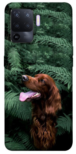 Чохол itsPrint Собака у зелені для Oppo A94