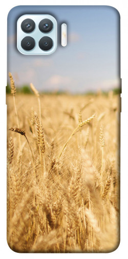 Чехол itsPrint Поле пшеницы для Oppo F17 Pro
