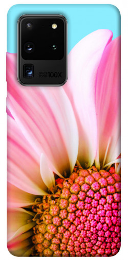 Чохол itsPrint Квіткові пелюстки для Samsung Galaxy S20 Ultra