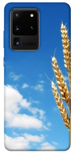 Чехол itsPrint Пшеница для Samsung Galaxy S20 Ultra