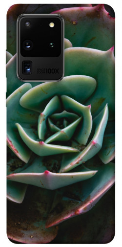 Чехол itsPrint Эхеверия для Samsung Galaxy S20 Ultra