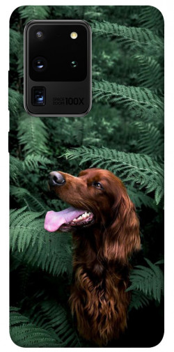 Чохол itsPrint Собака у зелені для Samsung Galaxy S20 Ultra