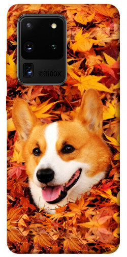 Чехол itsPrint Корги в листьях для Samsung Galaxy S20 Ultra