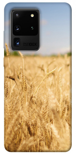 Чехол itsPrint Поле пшеницы для Samsung Galaxy S20 Ultra
