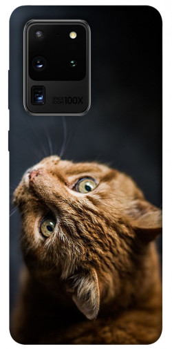 Чохол itsPrint Рудий кіт для Samsung Galaxy S20 Ultra