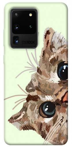 Чохол itsPrint Cat muzzle для Samsung Galaxy S20 Ultra