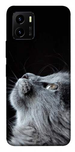 Чохол itsPrint Cute cat для Vivo Y15s