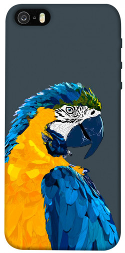 Чехол itsPrint Попугай для Apple iPhone 5/5S/SE